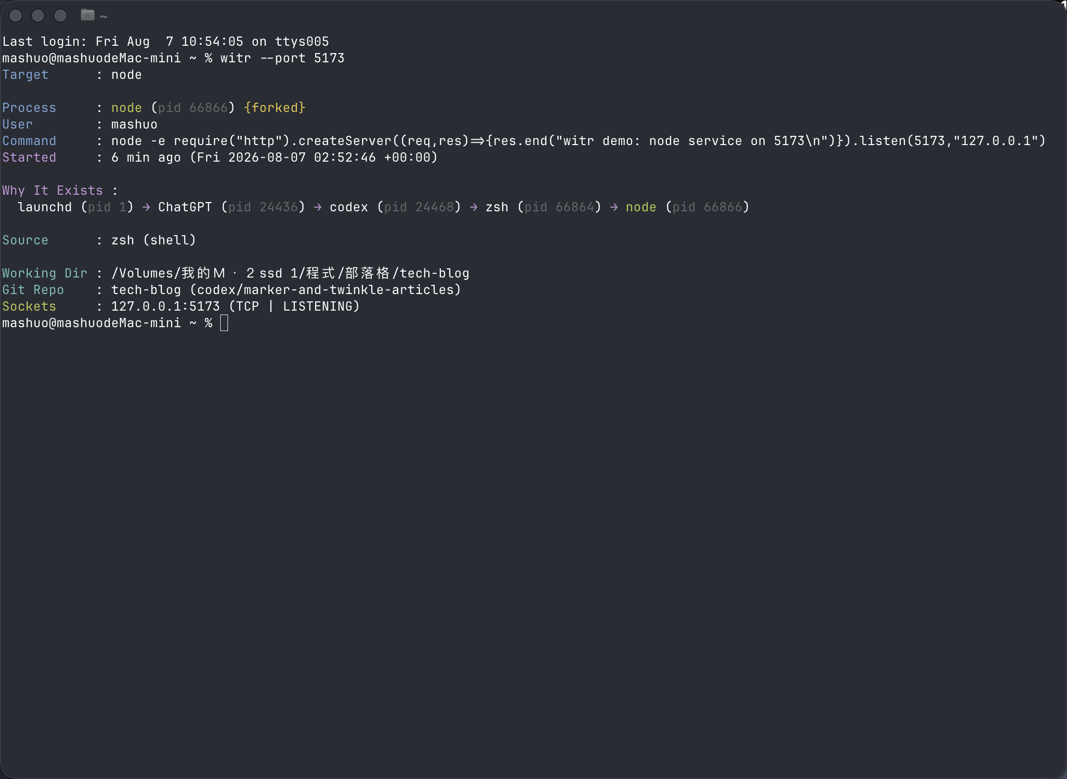 使用 witr --port 5173 找到 Node 程序、啟動鏈與監聽中的 Socket