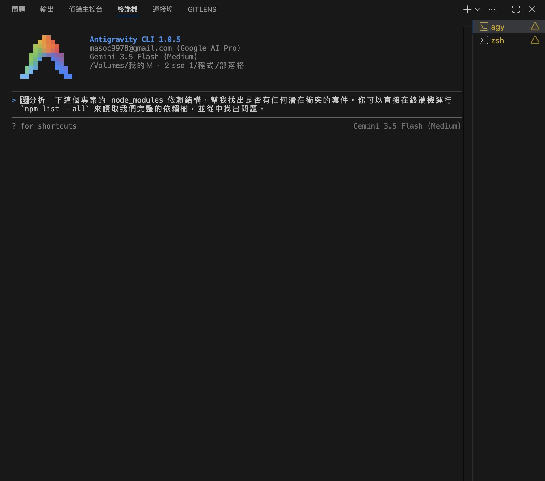 Antigravity CLI 測試過程
