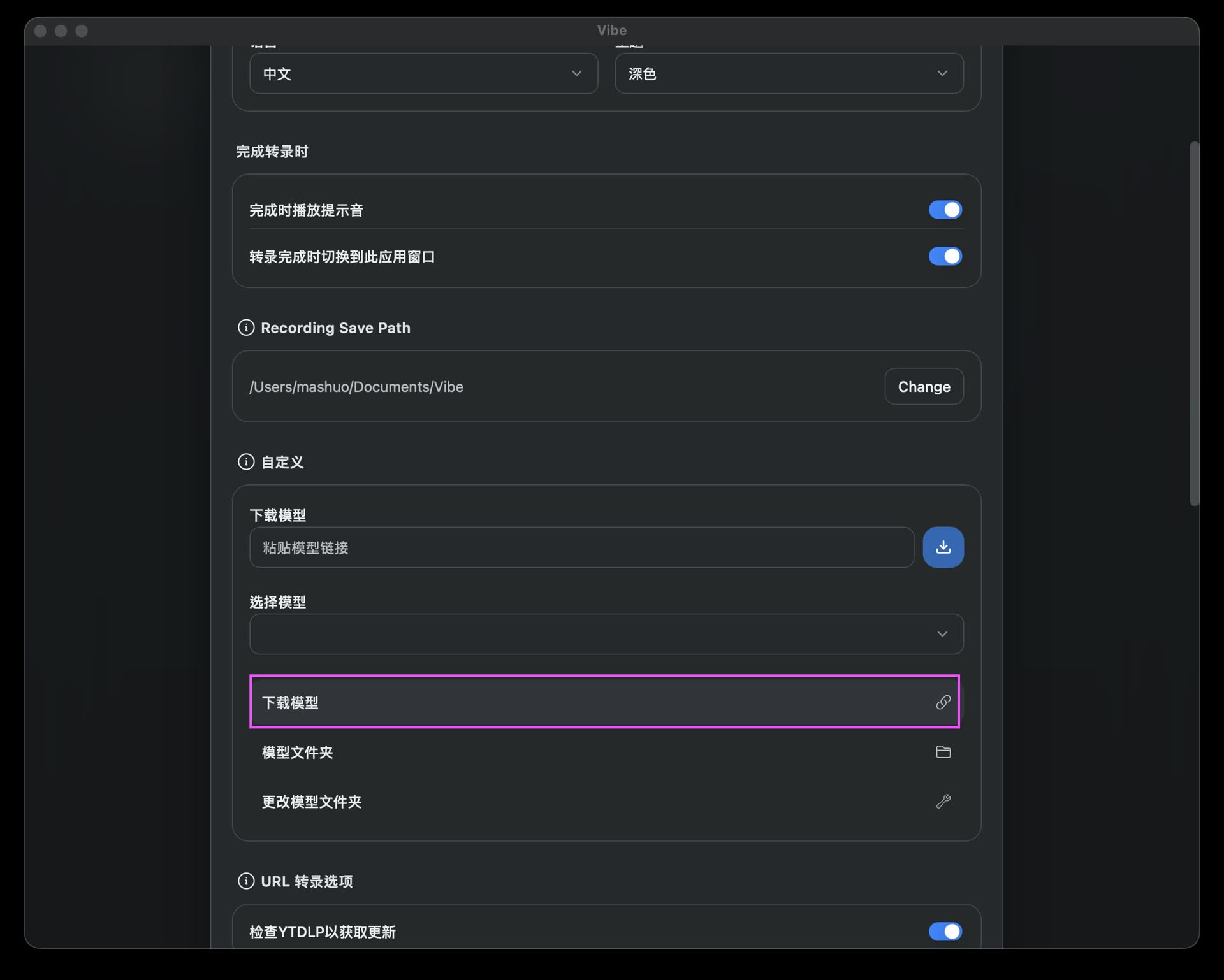 Vibe 設定介面